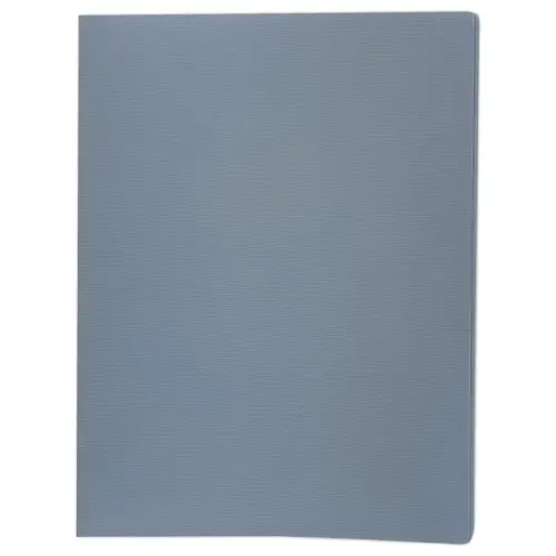 Protège-documents - A4 - 30 poches - beu clair - FIDUCIAL