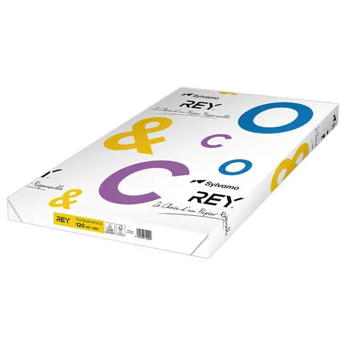 Ramette de 250 feuilles de papier blanc - A3 - 120g - TEXT AND GRAPHICS