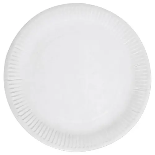 100 Assiettes en carton - 23 cm de diamètre