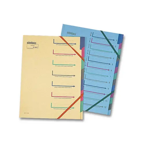 Trieur chemise à élastique - 12 compartiments - EXTENDOS