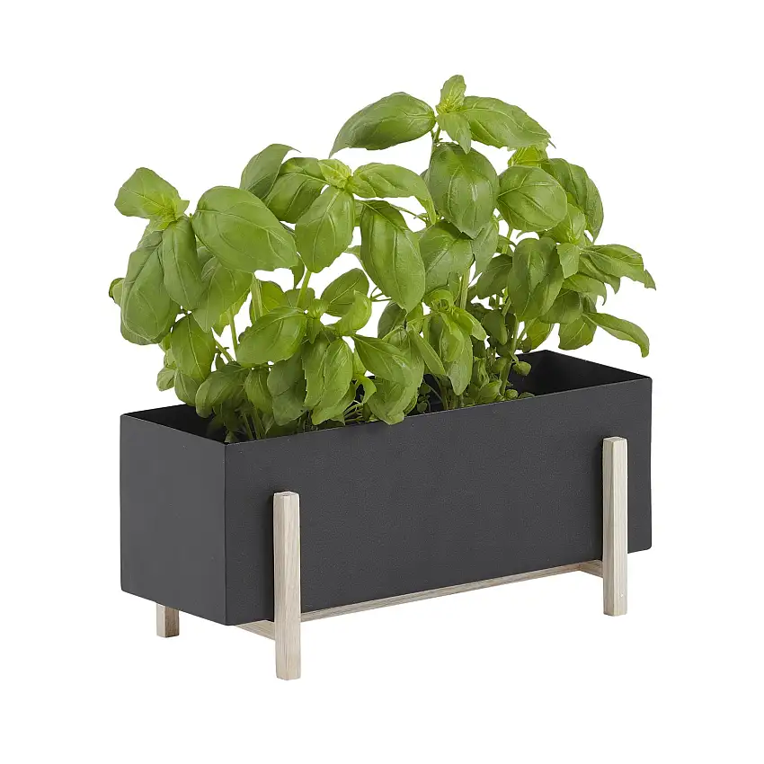 Boîte à herbes botaniques