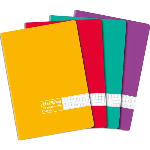 Cahier piqûre 21x29,7cm 96 pages grands carreaux Seyès 70g. Couverture carte assortie