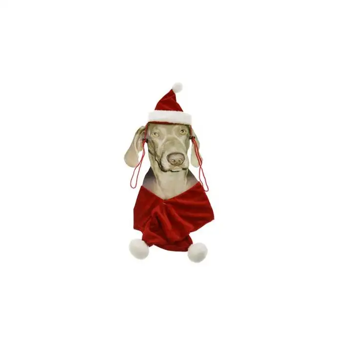 Cosy @ Home Costume De Noel Pour Chien Bonnet+echarp