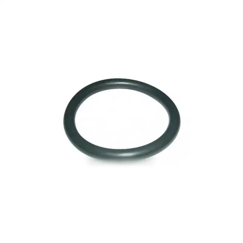 Joint percolateur 46x6 pour Cafetière RIVIERA & BAR 483035