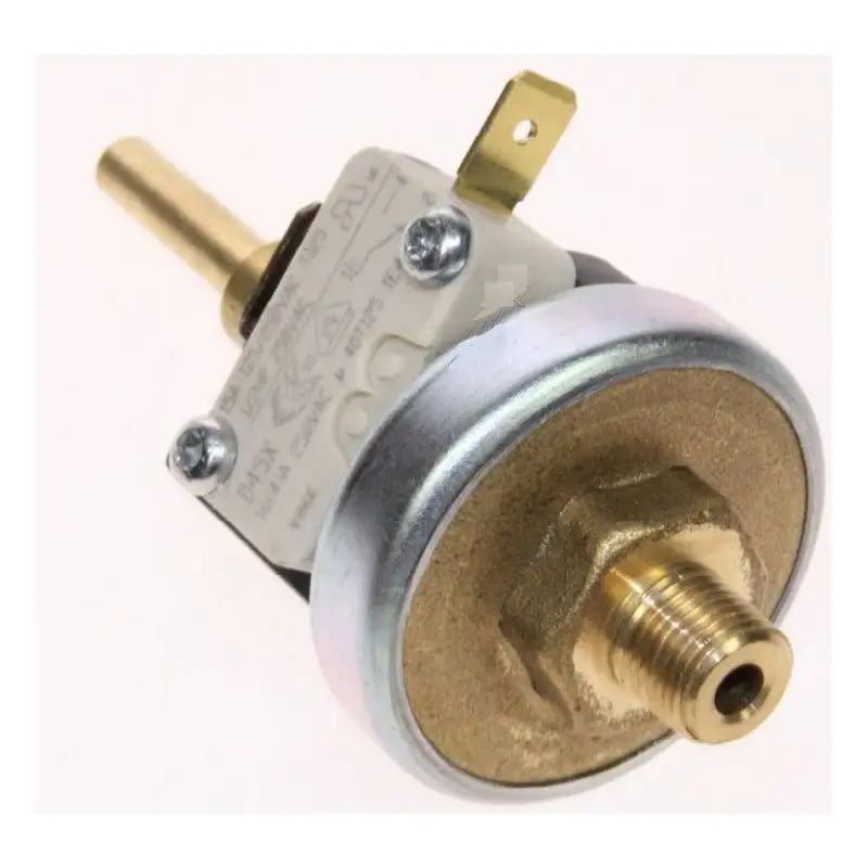 Pressostat 2-4 bars pour Centrale Vapeur ASTORIA 500582671