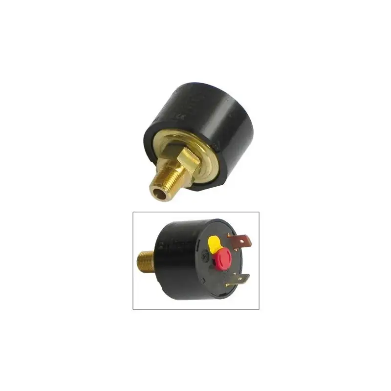 Pressostat 2.2 bars pour Centrale Vapeur ASTORIA 500582931