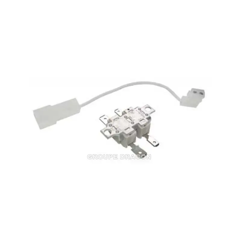 Thermostat avec fusible pour Centrale Vapeur ROWENTA CS-00094320